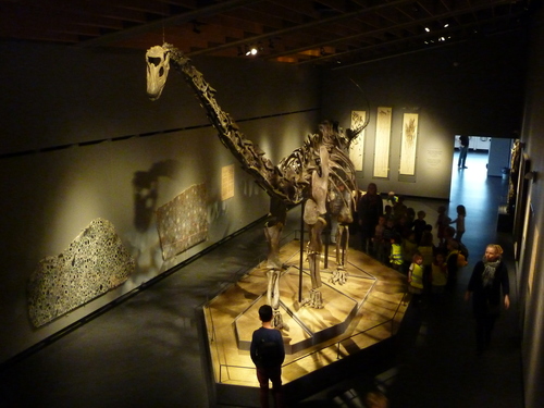 Image of Diplodocus