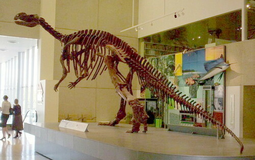 Image of Muttaburrasaurus