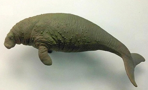 Image of Steller's sea cow