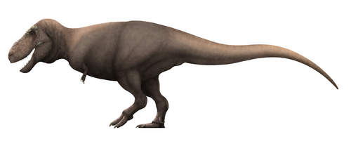 Image of Tarbosaurus