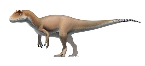 Image of Allosaurus